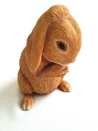 Country Artists Honey Dwarf Lop Eared Rabbit Hand Painted & Crafted Bunny 4
