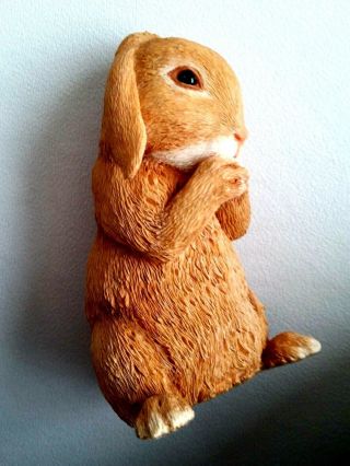 Country Artists Honey Dwarf Lop Eared Rabbit Hand Painted & Crafted Bunny 5
