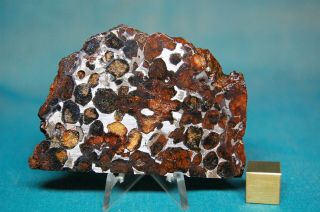 Sericho Pallasite Meteorite 51.  2 Grams