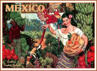 Mexico Land Of Tropical Splendor Vintage Travel Advertisement Art Poster Print