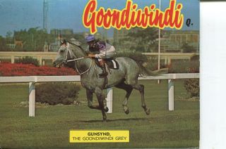 (b 4) - Older View Booklet - Australia - Qld - Goondiwindi (horse Racing)