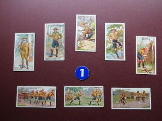 Boy Scouts,  A Series,  Blue Back,  Issued 1911 By Ogdens Set 50