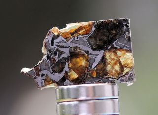 Admire Pallasite Meteorite,  1.  7 grams,  Kansas 5