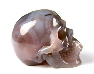 Gmmetsone 2.  0 " Mozambique Agate Carved Crystal Skull,  Realistic,  Crystal Healing