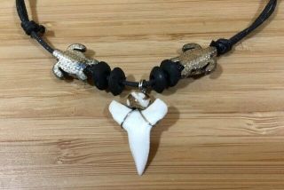 REAL NATURAL SHARK TOOTH NECKLACE PENDANT CHOKER&SURFER ROCK HIPPIE MENS GIFT 3