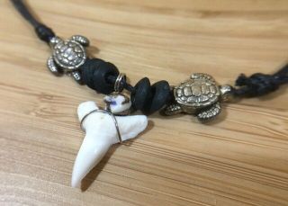 REAL NATURAL SHARK TOOTH NECKLACE PENDANT CHOKER&SURFER ROCK HIPPIE MENS GIFT 4