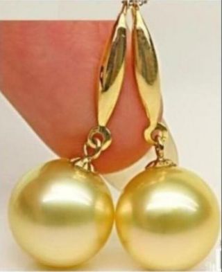 Stunning Aaa,  10 - 11mm Real Natural South Sea Golden Round Pearl Earrings 14k