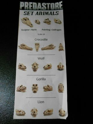 Narin Predastore Animal Skull Set Resin Model Kit
