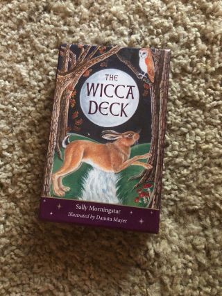 Tarot Cards The Wicca Deck Sally Morningstar Illustrated By Danuta Mayer