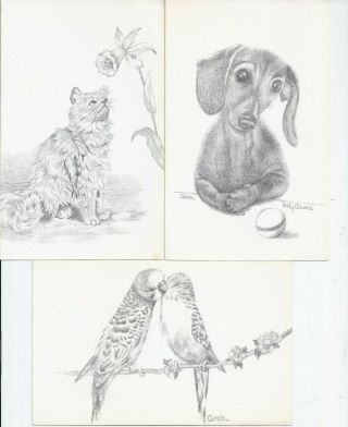 Vintage Greeting Cards By Ann Adams - - Dog,  Cat & Birds