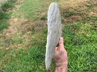 Petrified Texas Oak Root Wood Fossil Tree Treasure 5