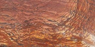 Polished Rock Slab Biggs Jasper - Great Specimen