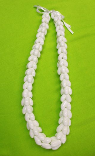 Hawaiian Wedding / Graduation Shell Lei Hula Luau Jewelry Necklace White