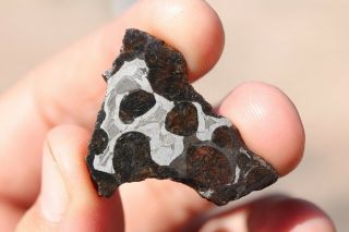 Sericho Meteorite Pallasite From Kenya Part Slice 3.  7 Grams