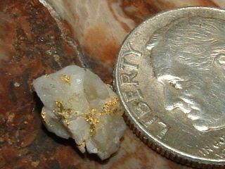 California Gold Quartz Specimens Natural Gold.  33 Gram Micromount