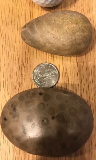 2 Fossil Petoskey Stone Just Over 5 Ounces 2