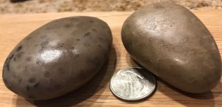 2 Fossil Petoskey Stone Just Over 5 Ounces 4