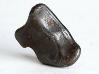 Meteorite Sikhote Alin - Iron Fall 1947 Russia - Oriented Individual 12.  8g