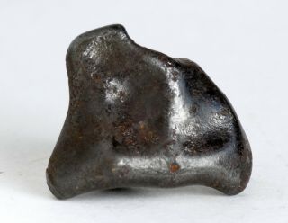 Meteorite Sikhote Alin - Iron Fall 1947 Russia - oriented Individual 12.  8g 4