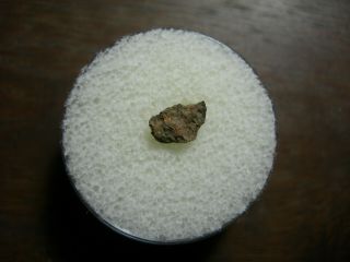 Nwa 4439 Meteorite Co3 Carbonaceous Chondrite Rare Northwest Africa Imca