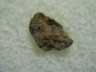 NWA 4439 Meteorite CO3 Carbonaceous Chondrite RARE Northwest Africa IMCA 2