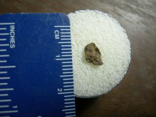 NWA 4439 Meteorite CO3 Carbonaceous Chondrite RARE Northwest Africa IMCA 3