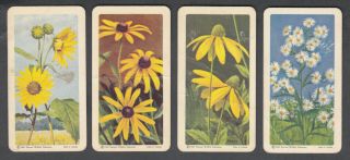 1960 Brooke Bond Tea Card Wild Flowers Of N/a Full Set 48/48,  Checklist