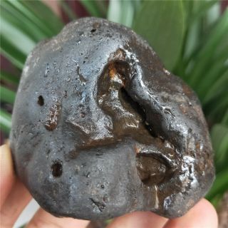 303 Natural Iron Meteorite Specimen From Xinjiang,  China B757
