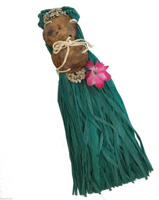 Hawaii Hula Girl Costume With Raffia Skirt And Coconut Top - Toddler