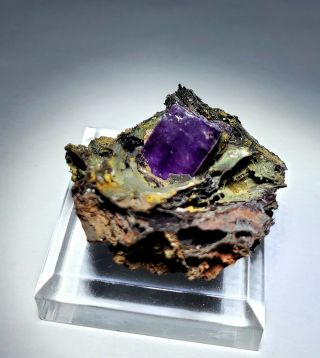 SHOCKING - Fluorescent Pink/Purple Fluorite crystals,  Ojuela mine Mexico 3