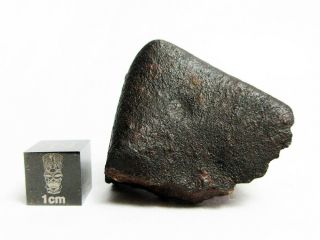 Nwa X Meteorite 33.  33g Fresh Fusion Crusted Rock From Space