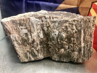 Reilly’s Rocks: Arizona Petrified Wood With Calcite,  5 Lbs.