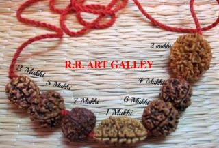 Rudraksh Rudraksha 1 2 3 4 5 6 7 Mukhi Beads Mala Necklace Wrist Band Bracelet
