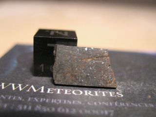 Meteorite Nwa 11232 - Chondrite L (ll) 3 - With Both Ll And L Group Features