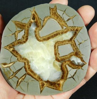 A Lighting Like Pattern On This Polished Septarian Nodule Slice W/stand 221gr E