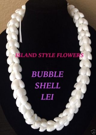 Hawaii Wedding Bubble Shell Braided Lei Necklace Jewelry Graduation Luau - White