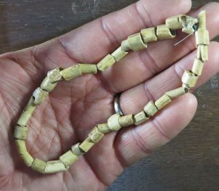 Rare 12 Inch Mississippian Necklace,  Bone Tube Beads,  Eastern Tn Area X Beutell