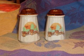 Souvenir West Virginia Salt And Pepper Shakers,  Brown Glaze Tops