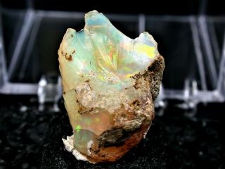 Minerals : Precious Opal With Milticolored Fire From Australia