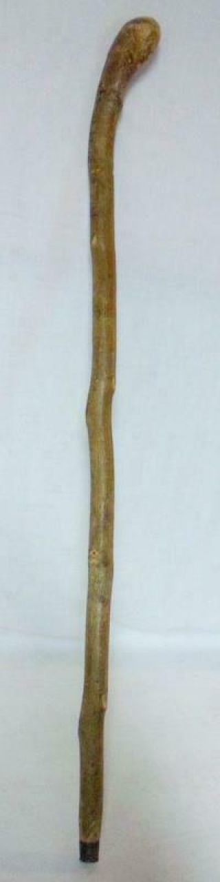 Vintage Blackthorn Celtic Shillelagh Walking Stick Cane W/ferrule