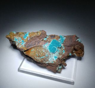 Striking - Teal Blue Rosasite Crystals On Matrix,  Ojuela Mine Mexico