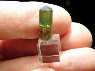 A 100 Natural Terminated Watermelon Tourmaline Crystal on a Stand Brazil 5.  5 e 2