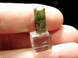 A 100 Natural Terminated Watermelon Tourmaline Crystal on a Stand Brazil 5.  5 e 3