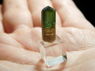 A 100 Natural Terminated Watermelon Tourmaline Crystal on a Stand Brazil 5.  5 e 4
