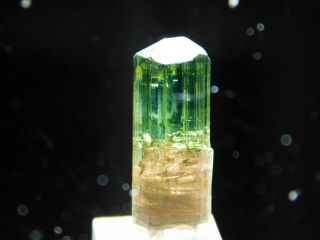 A 100 Natural Terminated Watermelon Tourmaline Crystal on a Stand Brazil 5.  5 e 7