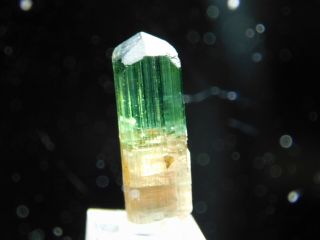 A 100 Natural Terminated Watermelon Tourmaline Crystal on a Stand Brazil 5.  5 e 8