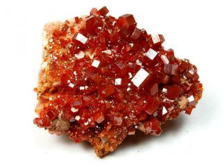 Minerals : Mass Of Red Vanadinite Crystals On Barite From Morocco