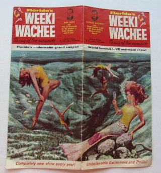 Travel Brochure For Weeki Wachee Spring Of The Mermaids Florida 1950s/ 