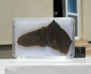 Meteorite Nwa 12009 (ll3) - 7.  19 G