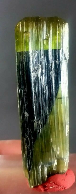76 Carat Top Quality Double Terminated Green Cap Tourmaline Crystal @pak8